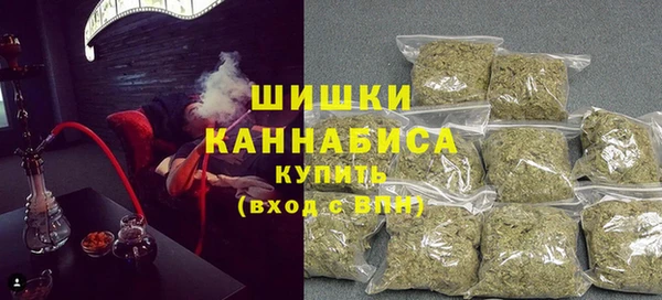СК Зерноград